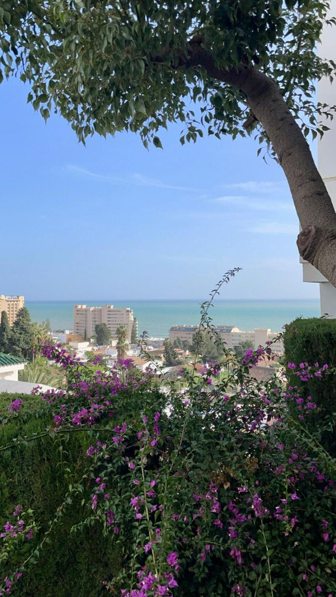 Sun Castle Apartment