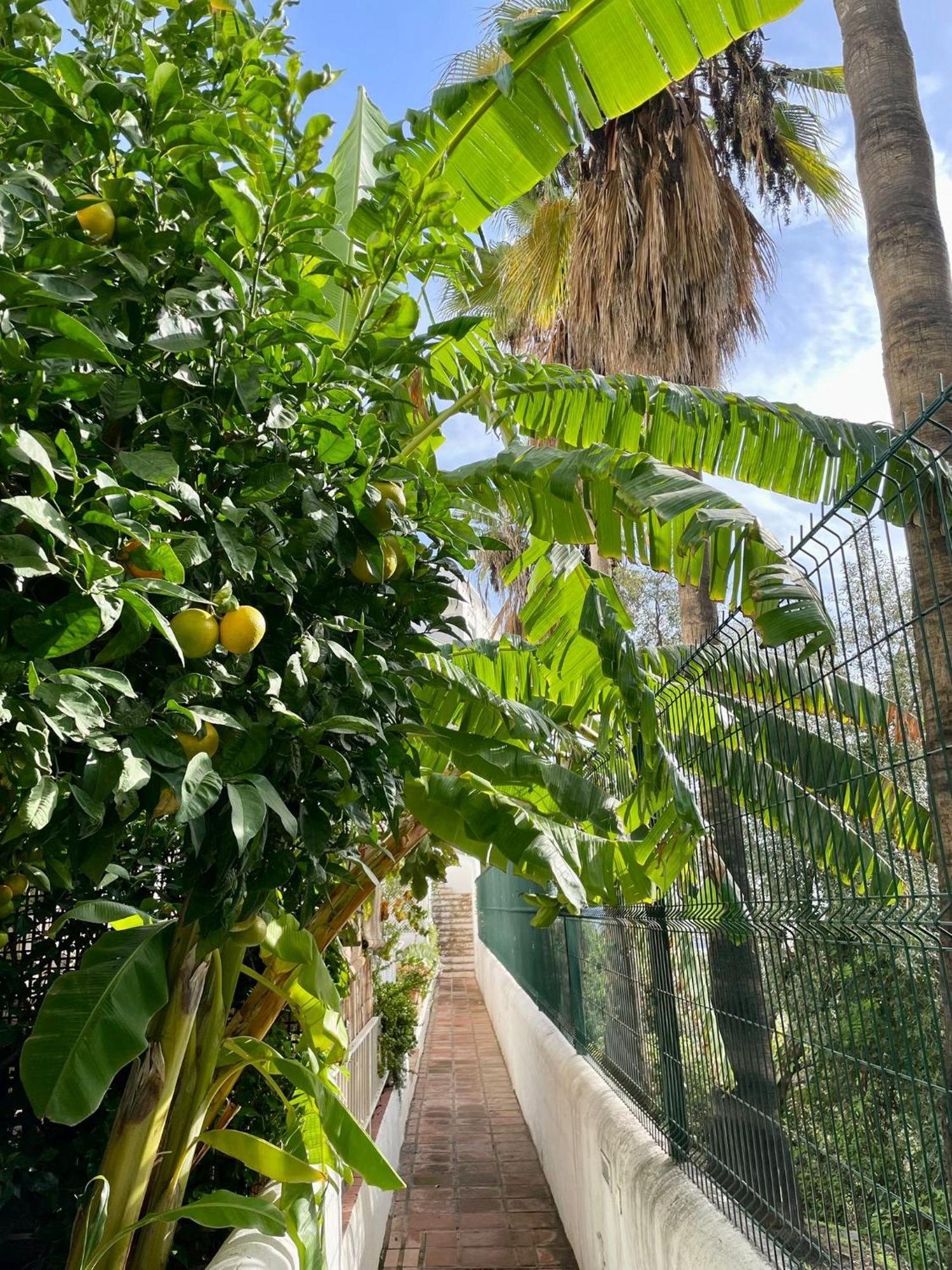 Sun Castle Apartment Fuengirola
