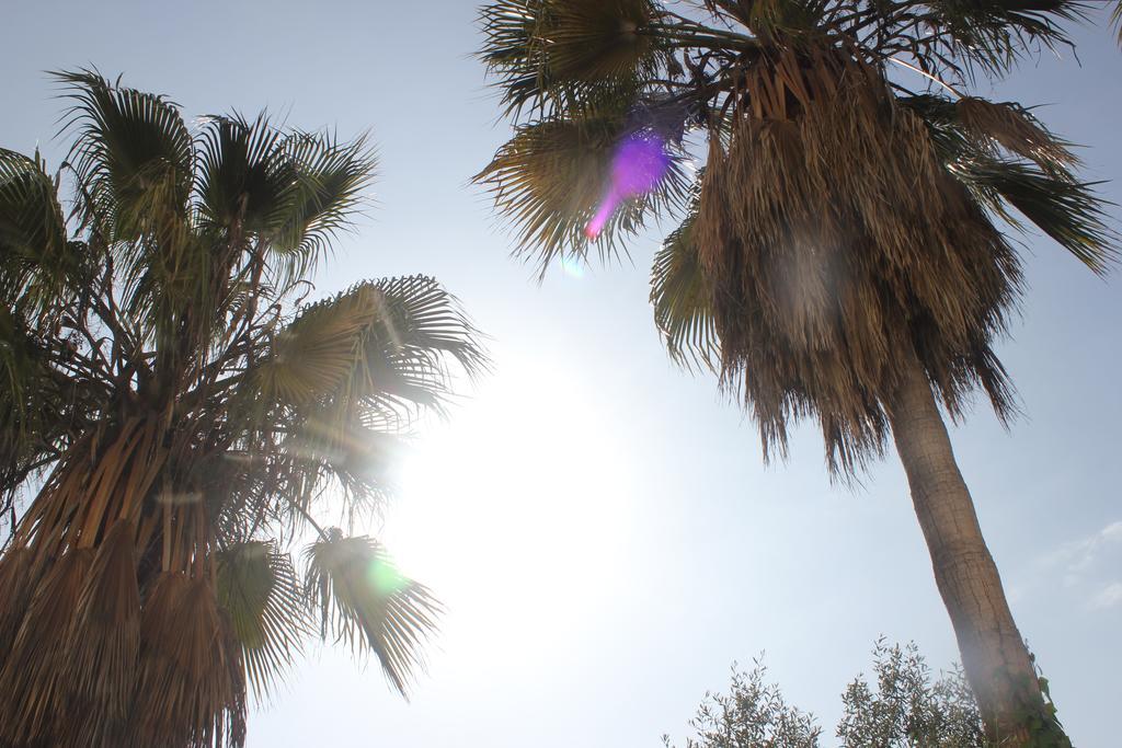 Apartament Sun Castle *